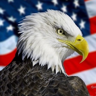 PENTAGON 바로가기 - 텔레그램 최신주소